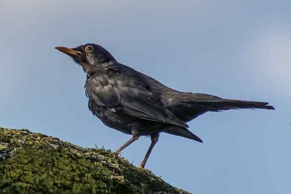 ... was mach ich nur am Wochende?