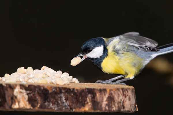 Erst die Arbeit, ...