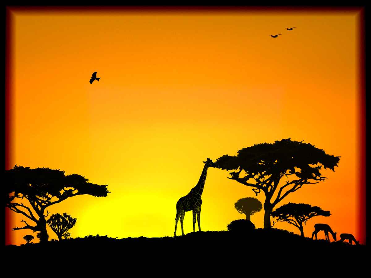 Mein Traum von Afrika