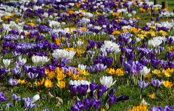 Frühling