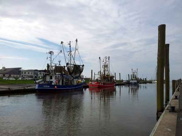 Im Fischereihafen Dorum 4