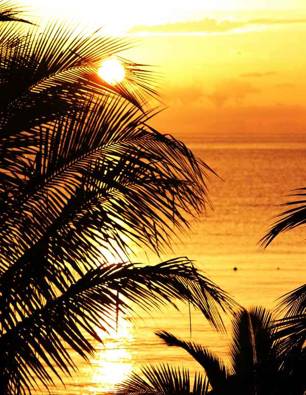 Sun of Jamaika III
