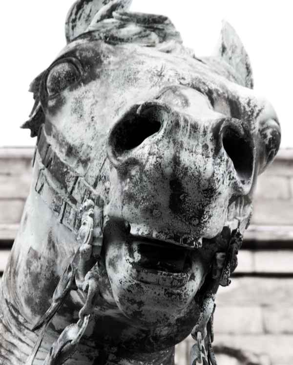 Pferd Hohensyburg Kaiser Wilhelm