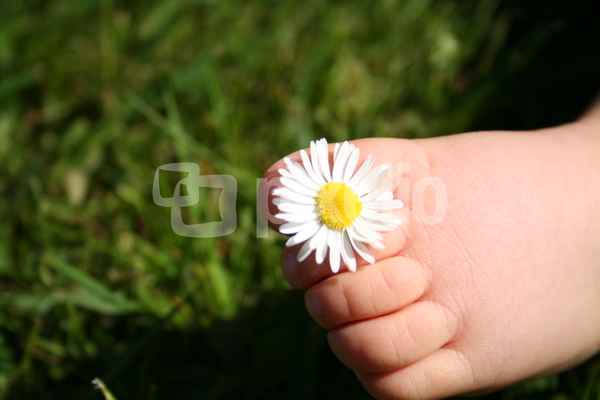 Blume am Zeh
