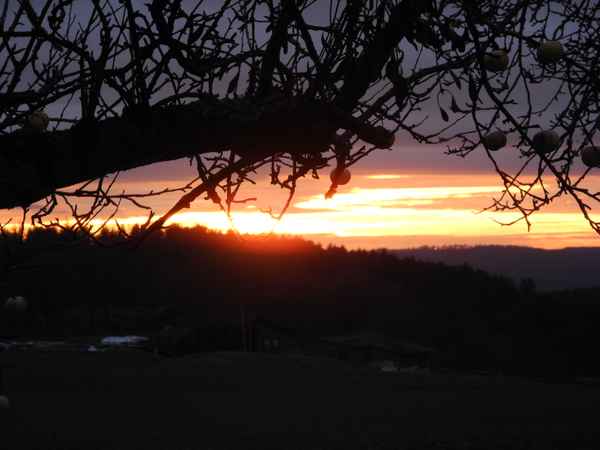 Abendrot
