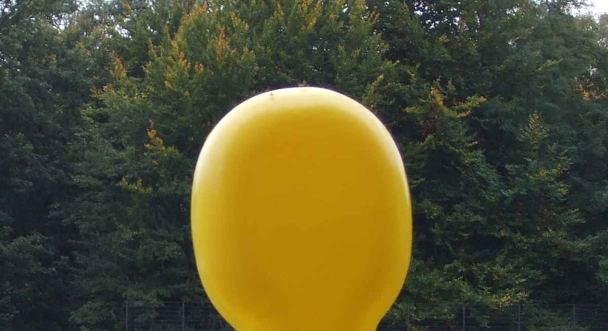Gelb und .......? gelöst von qd