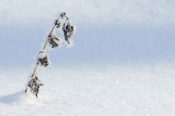Winterbild