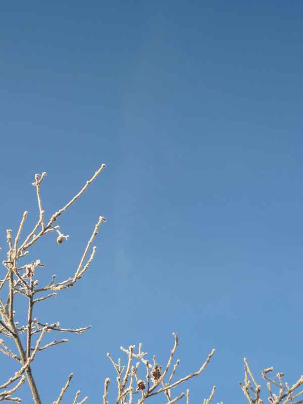 Winter als Hintergrund