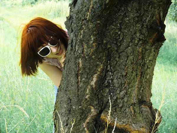 Mein Freund der Baum