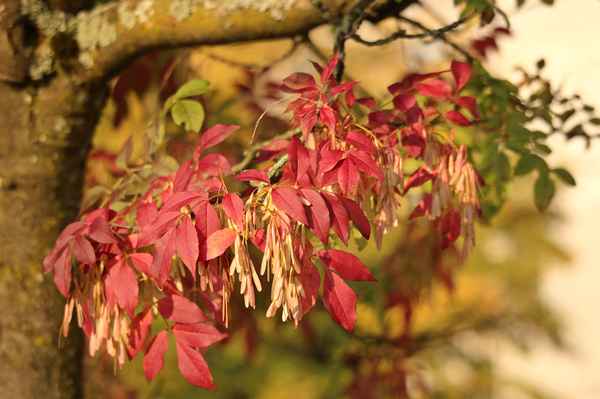 herbstimpressionen