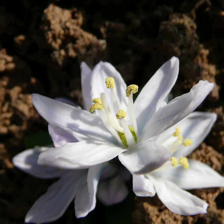 erste Spuren des Sommers