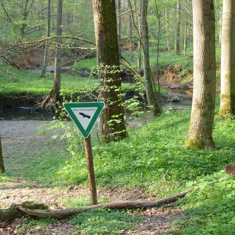 Naturschutzgebiet 1
