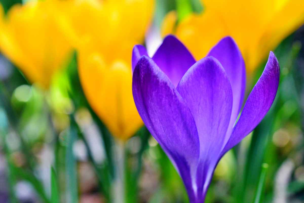 Frühling