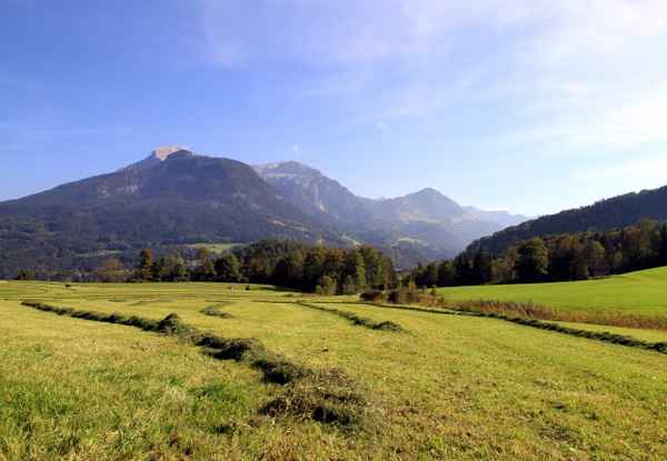 Heuernte vor Bergkulisse