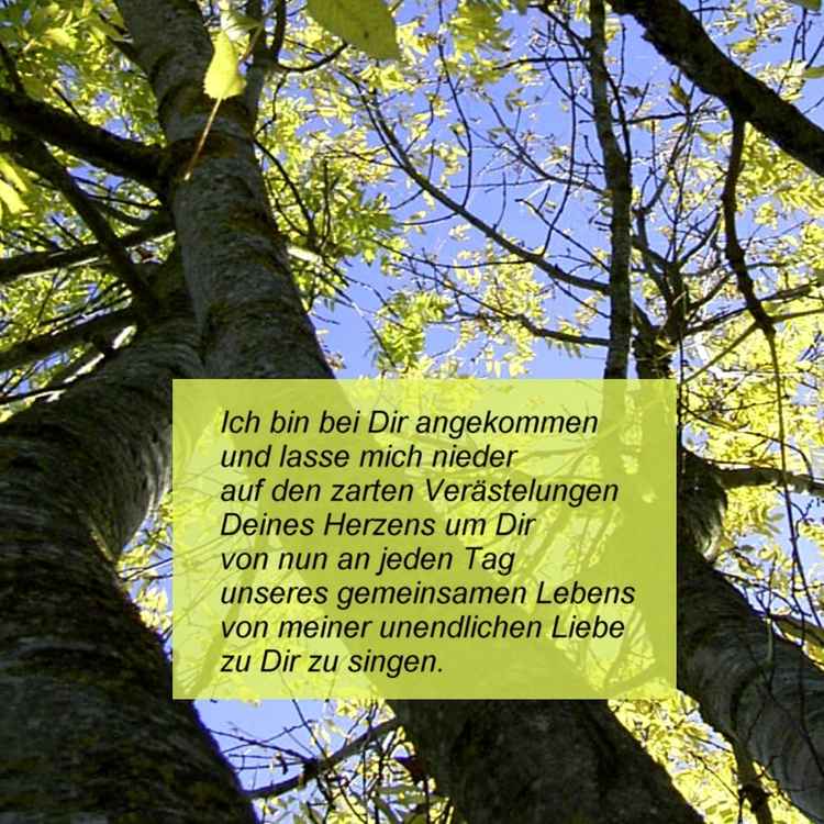 bei dir angekommen