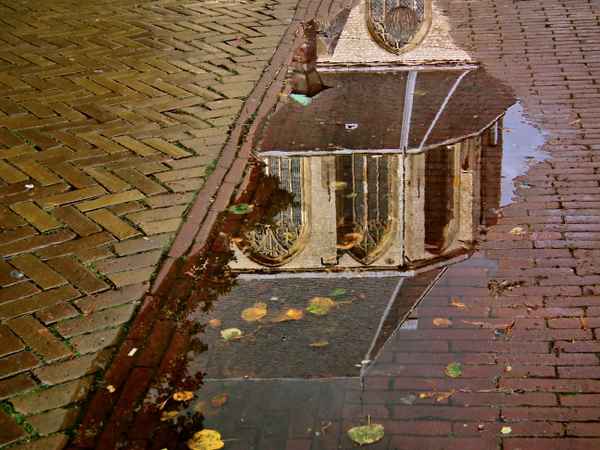 Natur als Straßenmaler