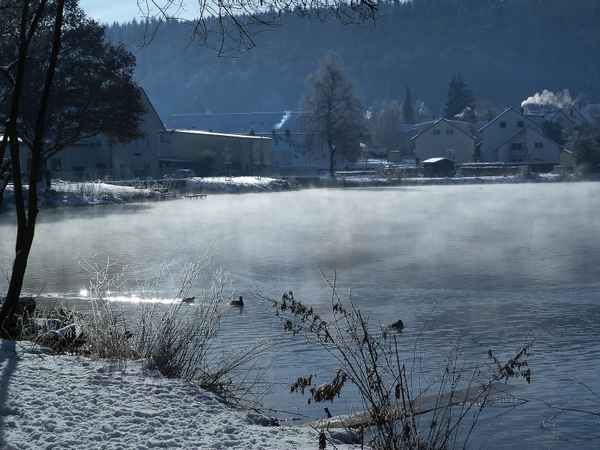 Wintermorgen am See