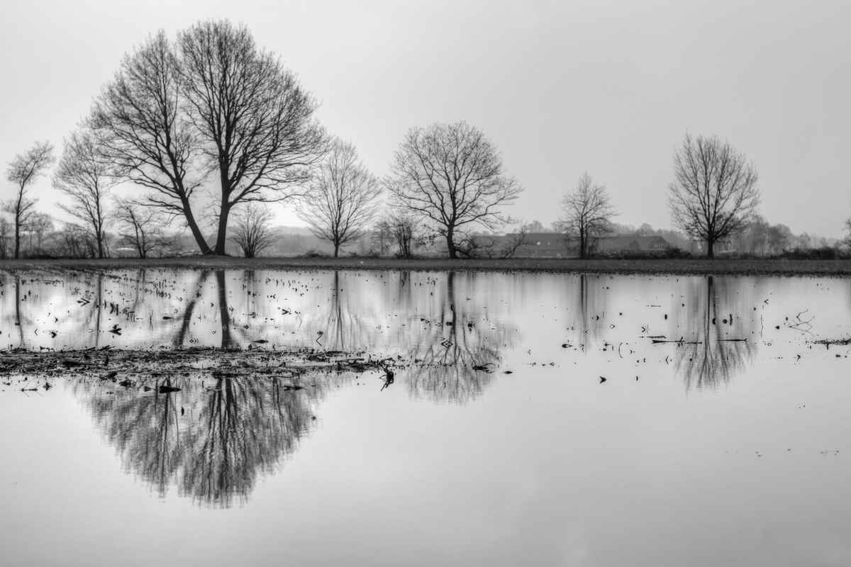 ein tag im nieselregen ( monocrom )