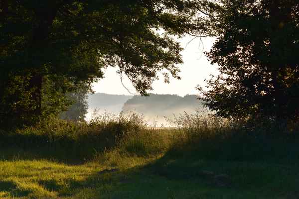 Morgenstimmung