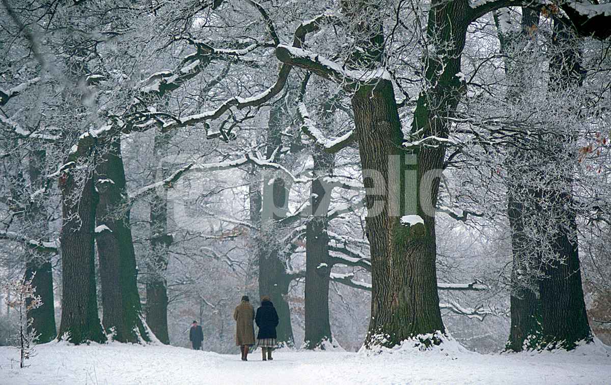 Winterspaziergang