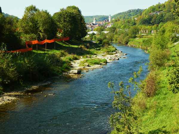 Neckar mit Altstadt Horb