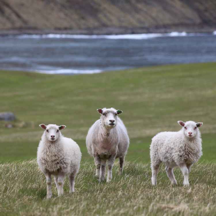 ....das ist ja spannend