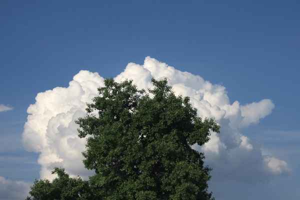 Wolken 33