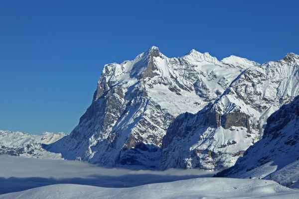 Wetterhorn im Winterkleid
