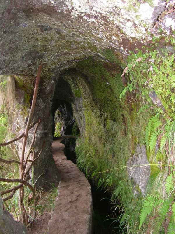 Madeira - Levada Ribeiro Frio - Portella