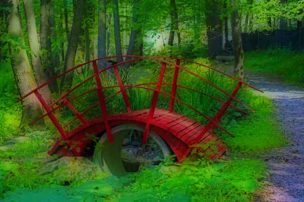 rote brücke im wald