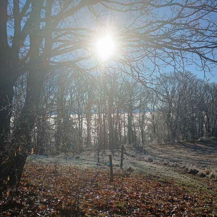 Tauwetter 2