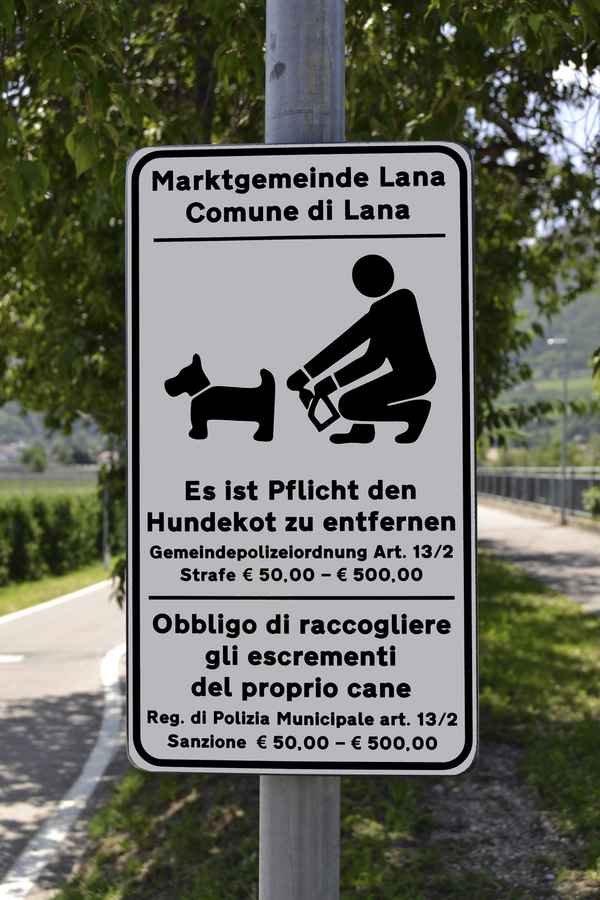 Hundekot entfernen