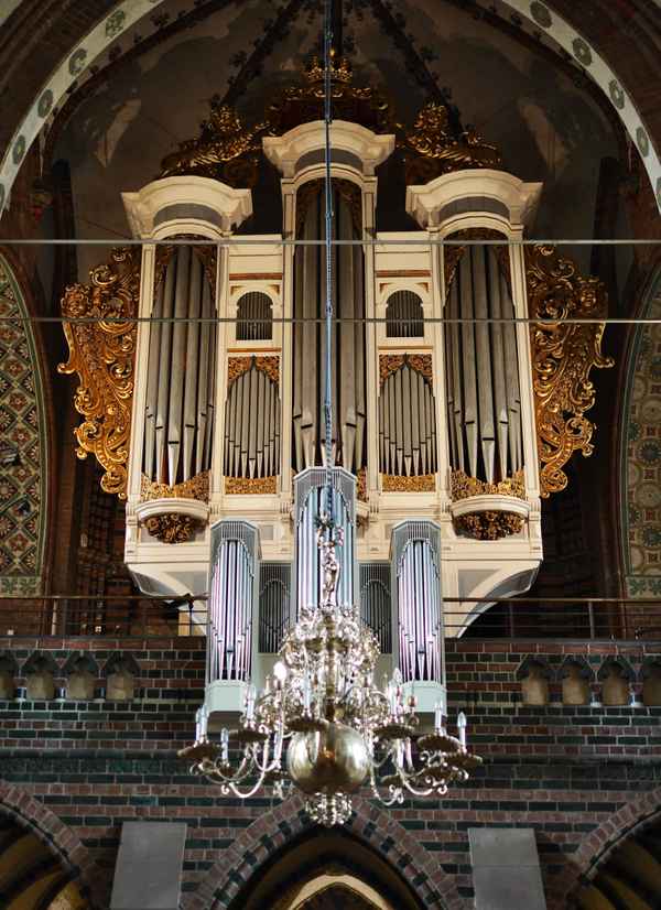 Domorgel