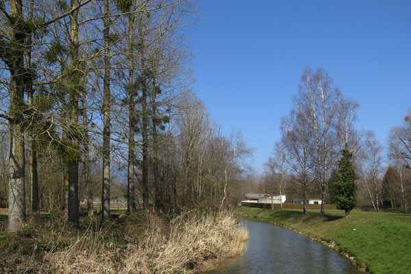 Naturpark Grande Cariçaie