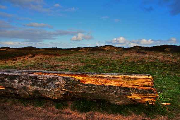 Dünenlandschaft