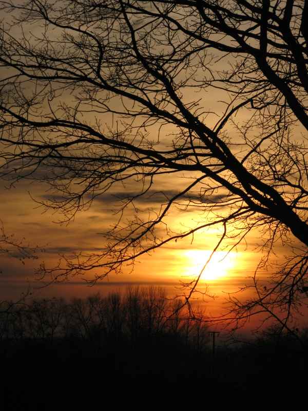 Der Sonnenuntergang bei der Eiche