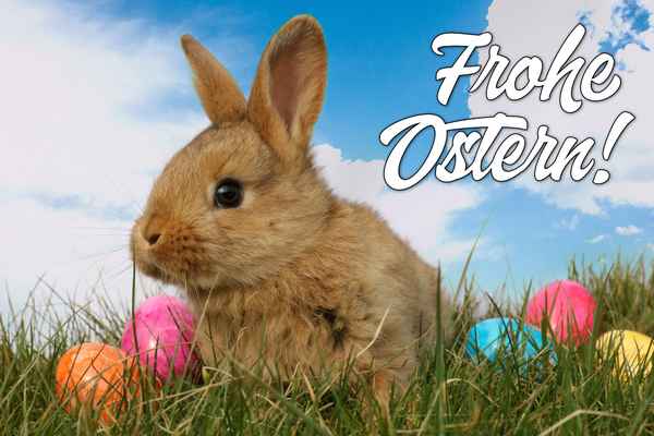 Frohe Ostern!