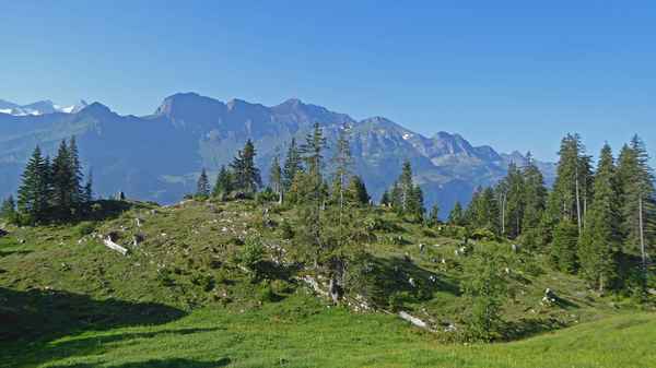 Berner Voralpen