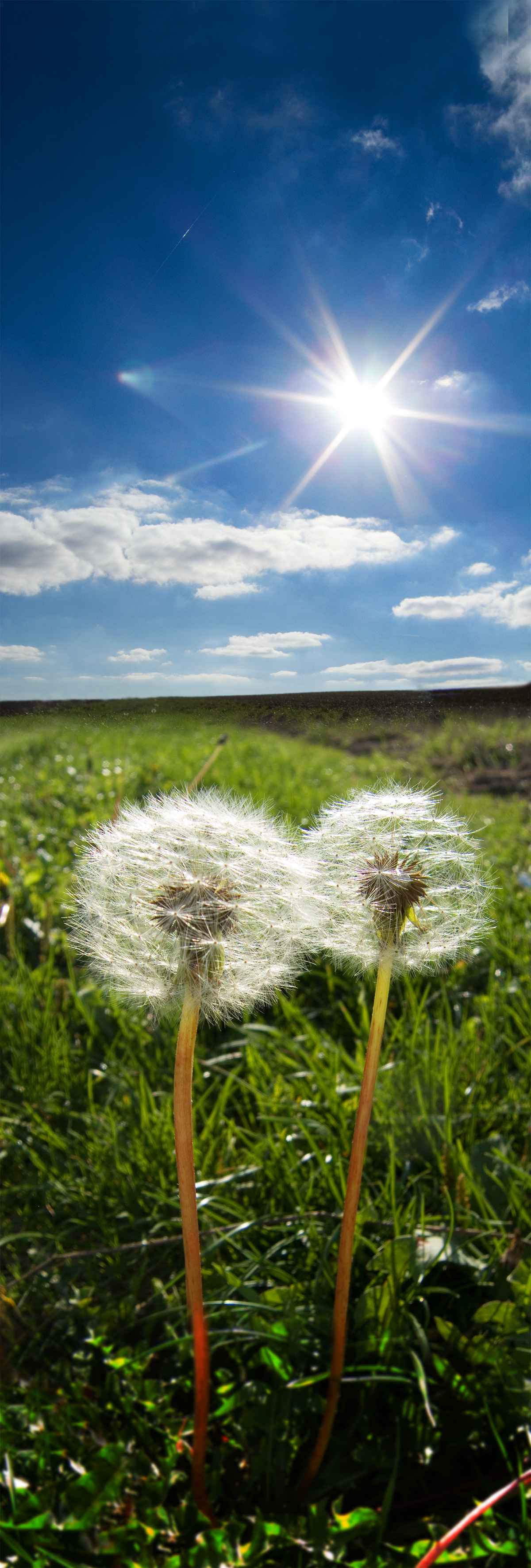 Naturpanorama