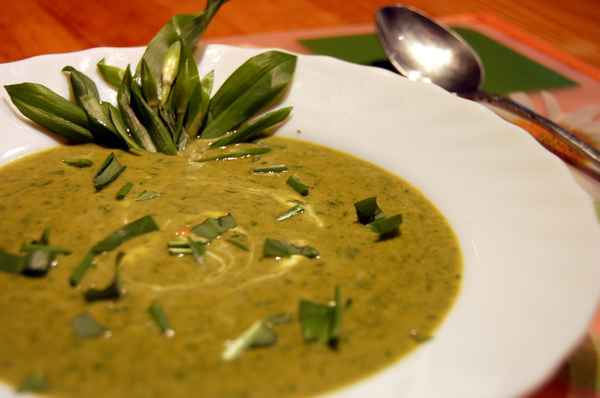Bärlauchsuppe