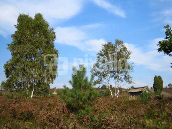 Nordheide