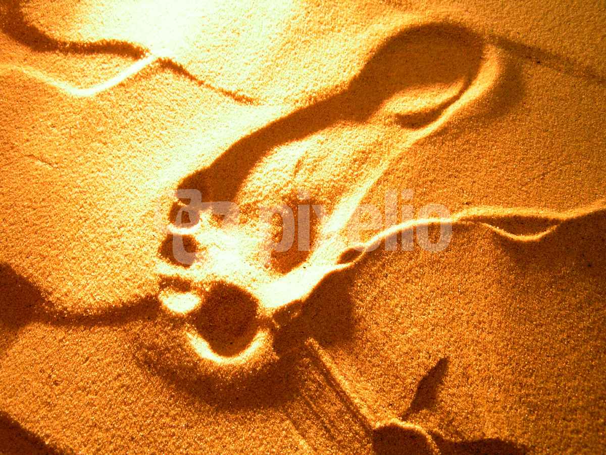 Spuren im Sand