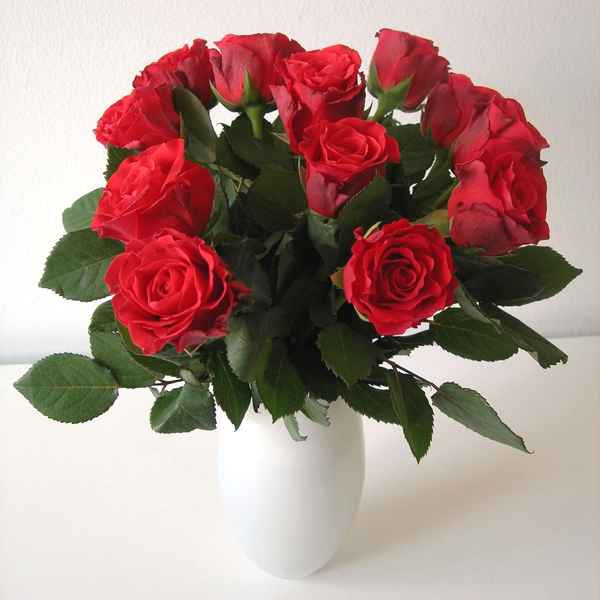 Rote Rosen