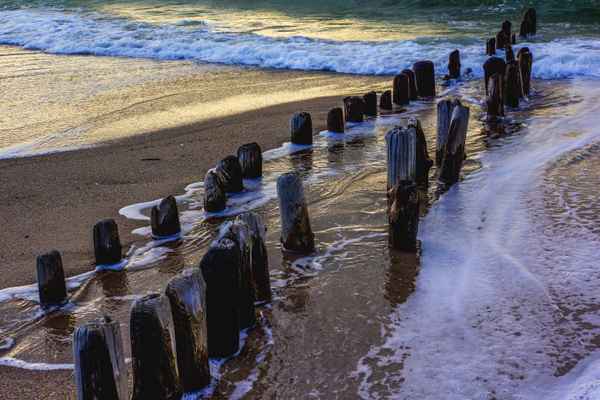 Alte Buhnenstümpfe am Strand