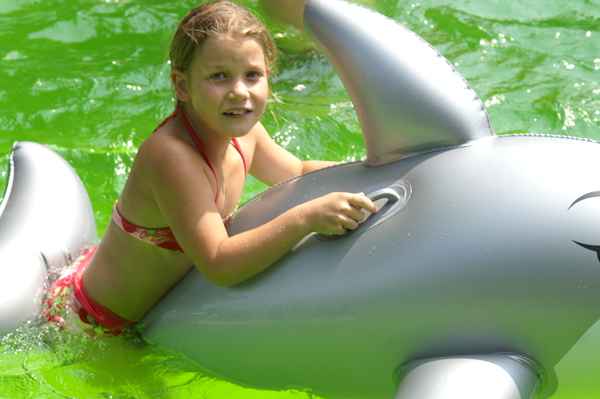 Sommer 2006 3