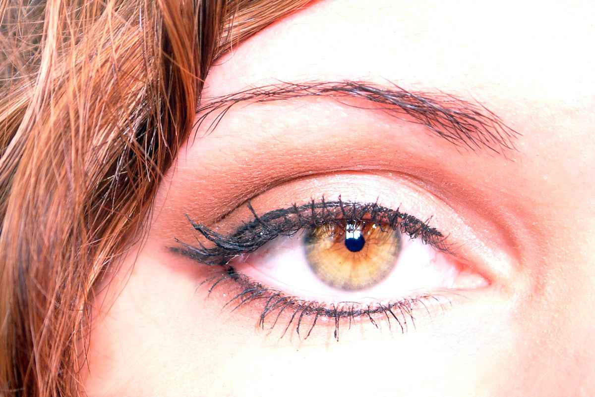 Auge