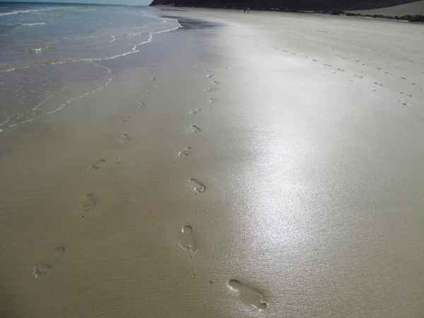 Spruen im Sand