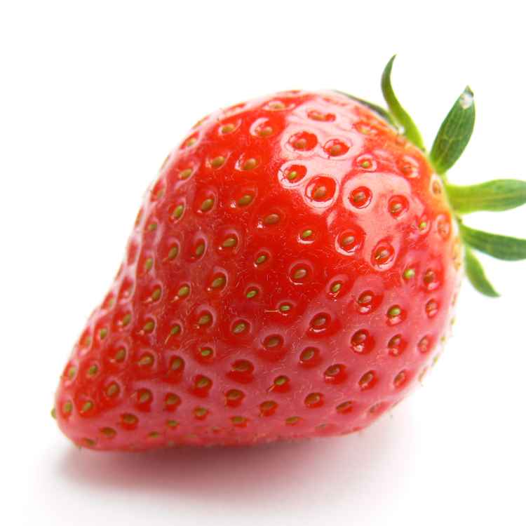Erdbeere
