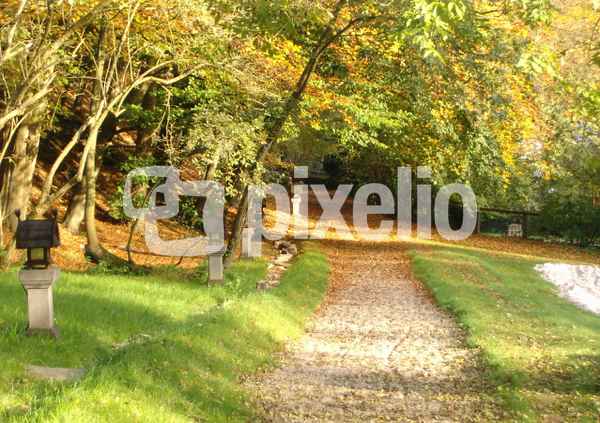 Herbst