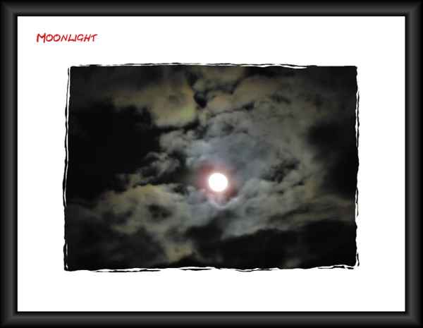 Moonlight"